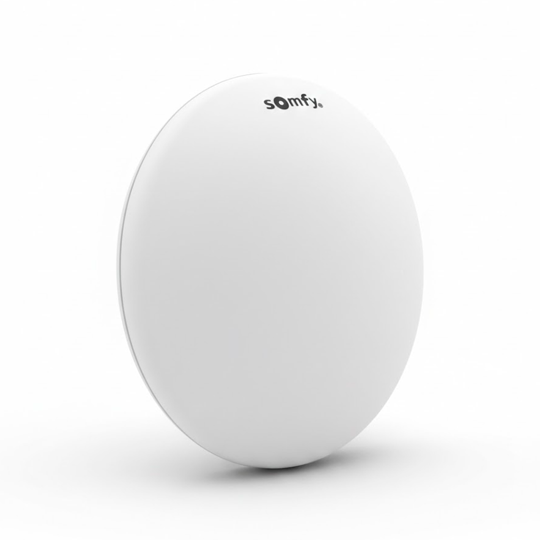 INTEO ONE STATION (ROUTER) SOMFY